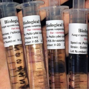 Buy Spores Syringes