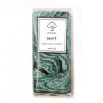 Mint Dark Mushroom Chocolate Bar 3000MG