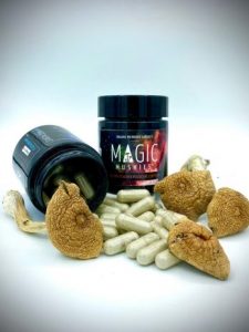 Golden teacher micro dose 3.5mg