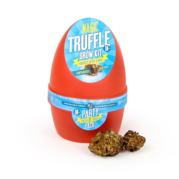 magic-truffles-grow-kit-tampanensis-1-1.jpg
