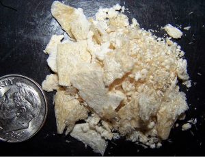 Buy mescaline cactus online